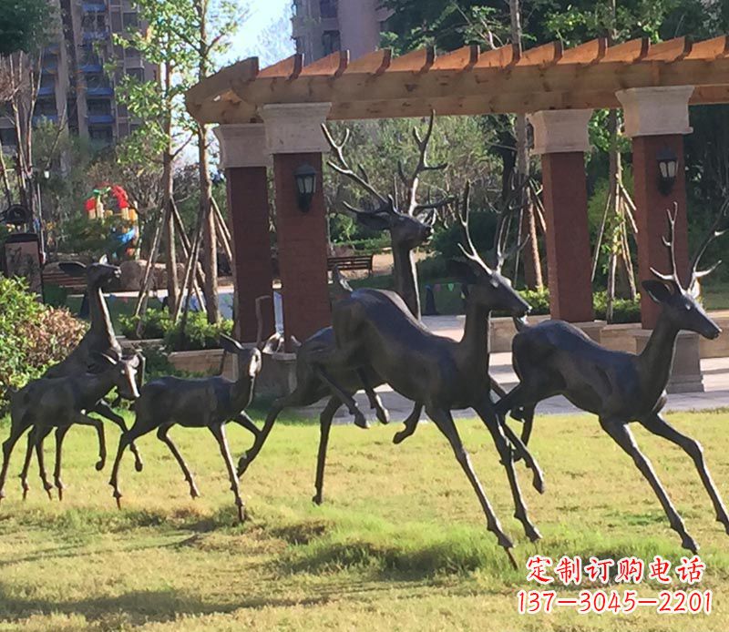 菏泽“梅花鹿传递自由与美好”