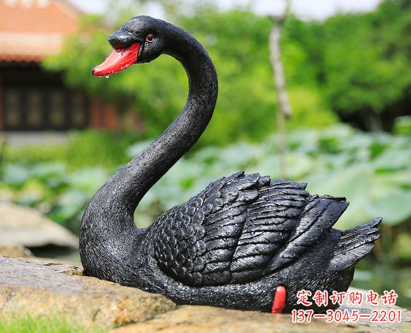 菏泽玻璃钢黑色天鹅雕塑-公园园林动物摆件