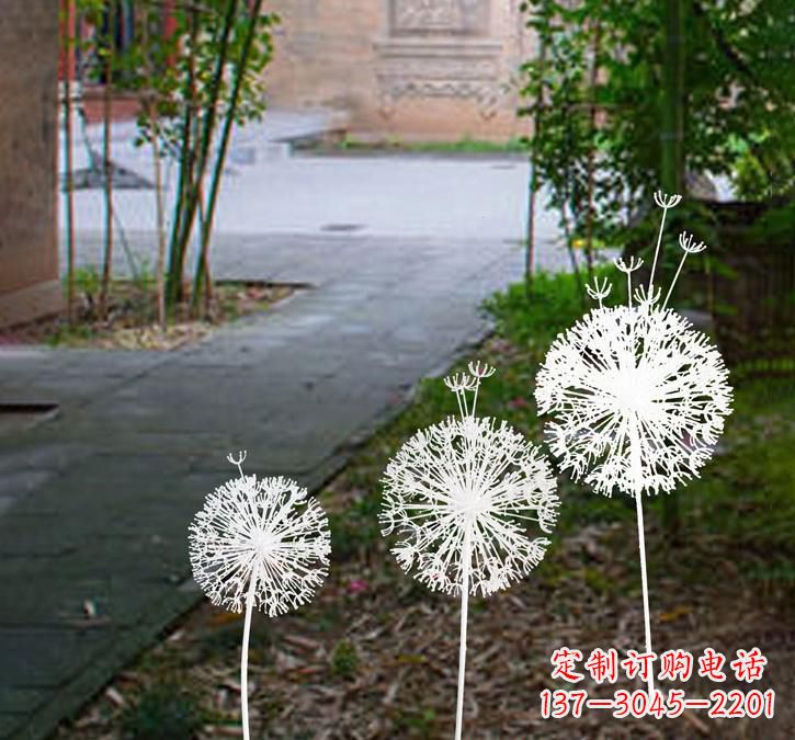 菏泽不锈钢蒲公英点亮城市之美