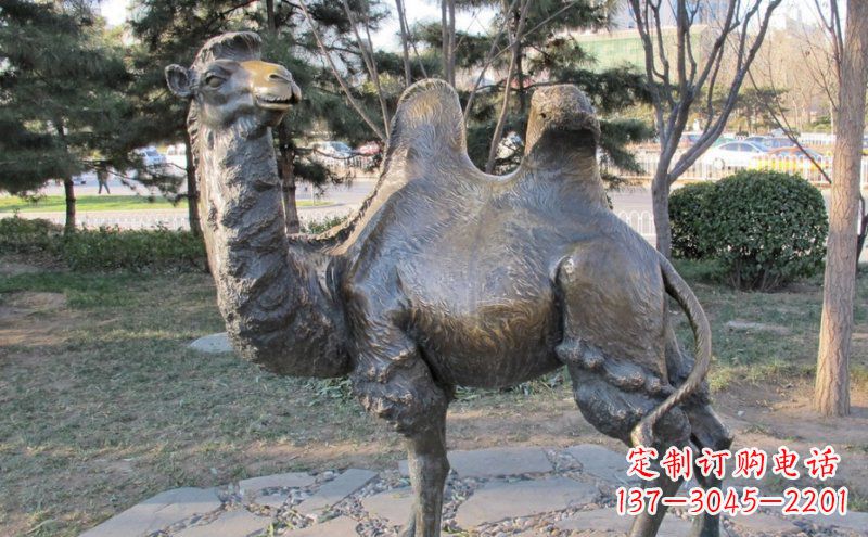 菏泽铜骆驼雕塑——浓缩自然美丽