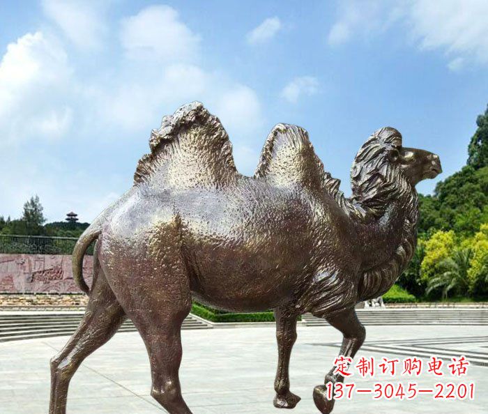 菏泽骆驼动物铜雕 (2)