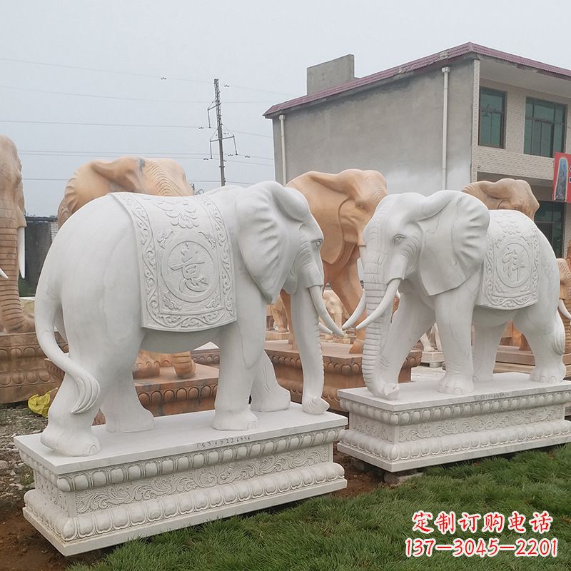 菏泽学校石雕大象